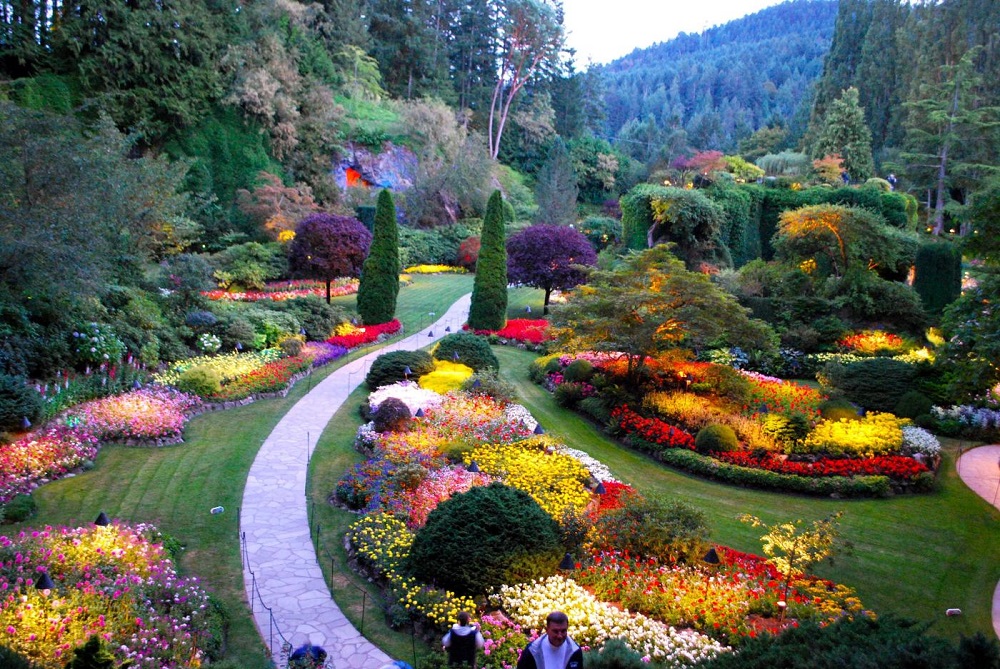 butchart-gardens