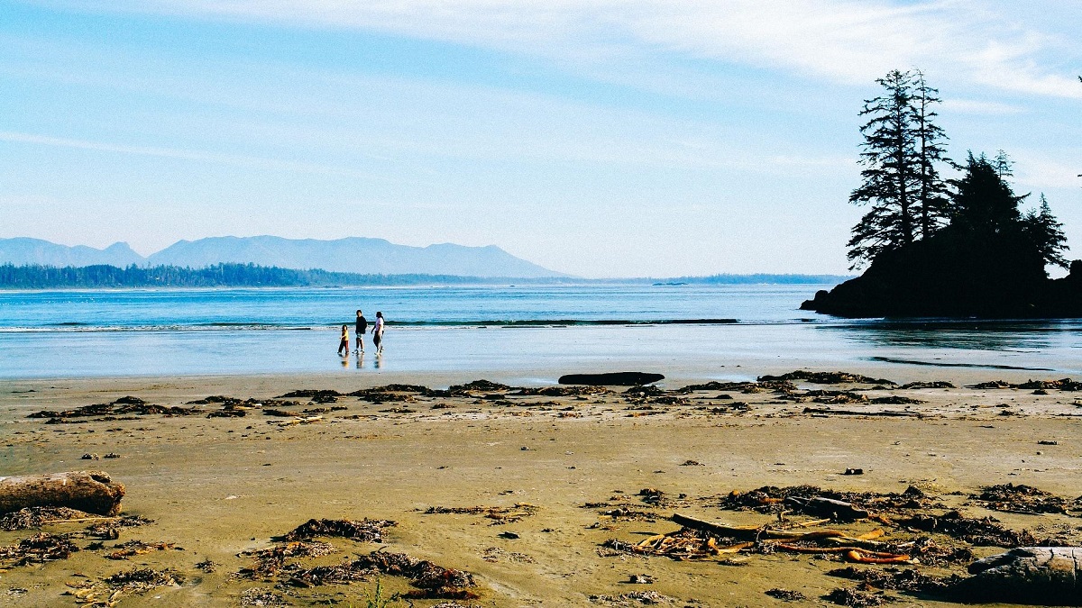tofino